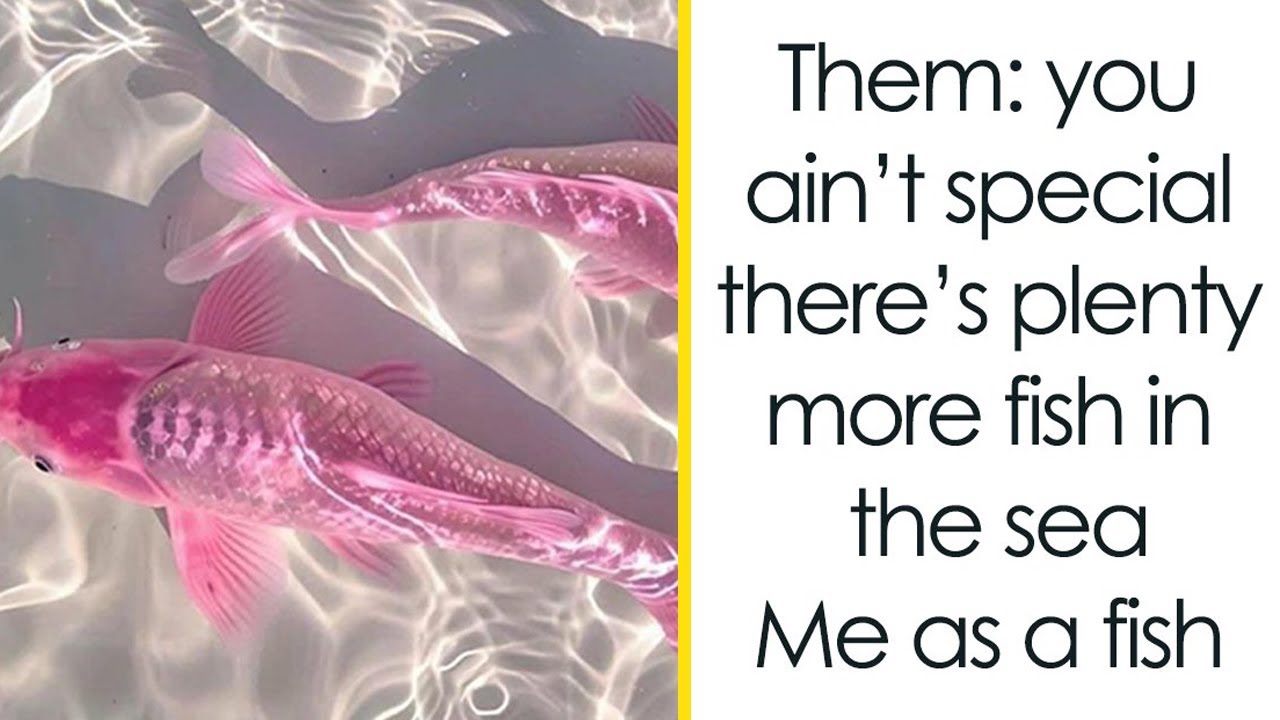 Relatable Memes That Perfectly Capture Daily Women’s Struggles