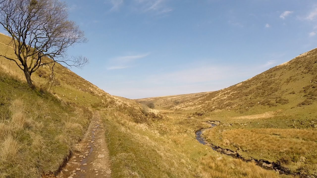 Exe Head to Hoar Oak Cottage