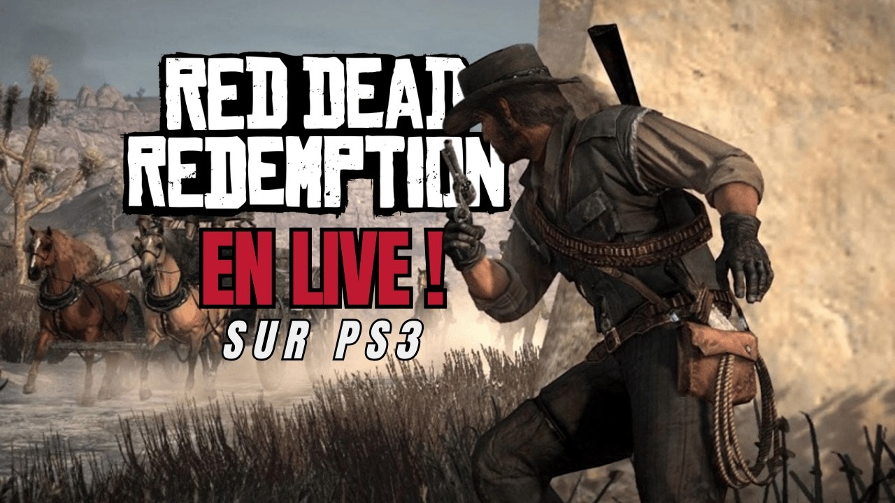On retourne sur Red Dead Redemption sur PS3 en ligne !