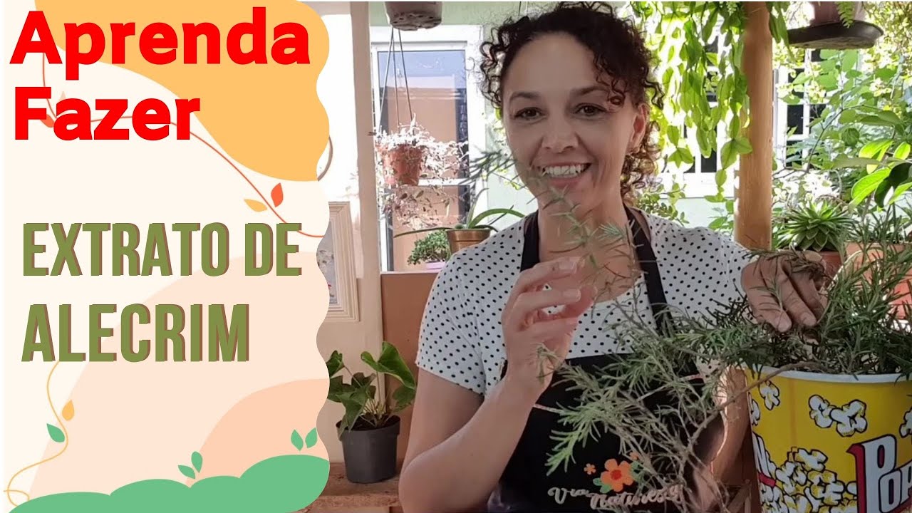 Como Fazer Extrato Aromático de Alecrim - As propriedades do Alecrim e os benefícios da Aromaterapia