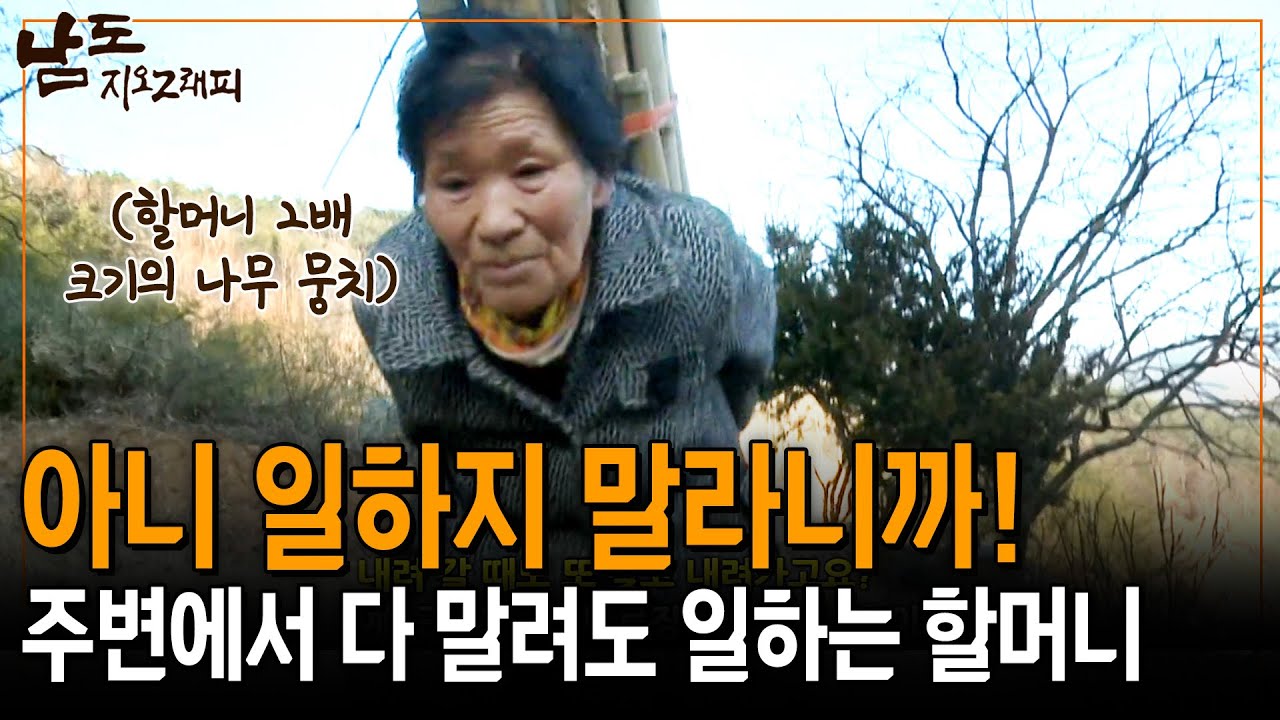 몸만 한 나무 뭉치를 옮기는 할머니를 말리는 할아버지. 아! 일하지 말라니까 그러네!!!!  [남도지오그래피] | KBS 150126