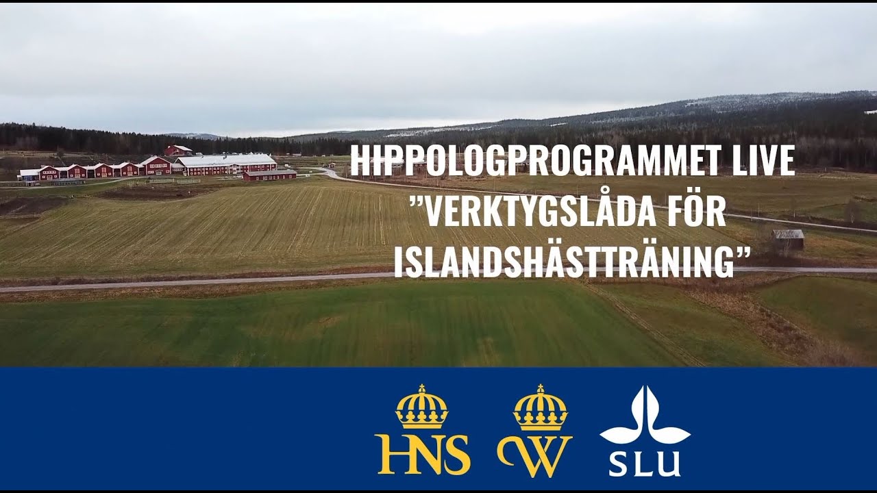 CLINIC med Hippologprogrammet: Verktygslåda för islandshästträning