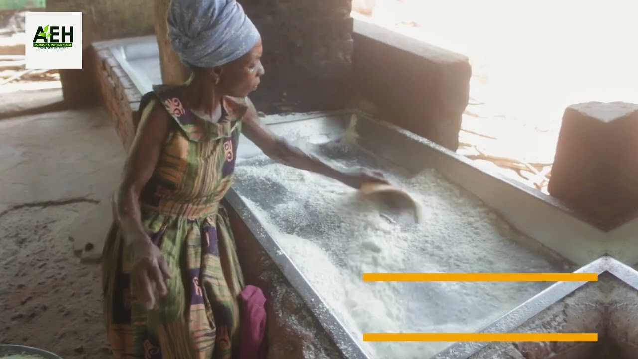 Gari processing in Ghana🇬🇭