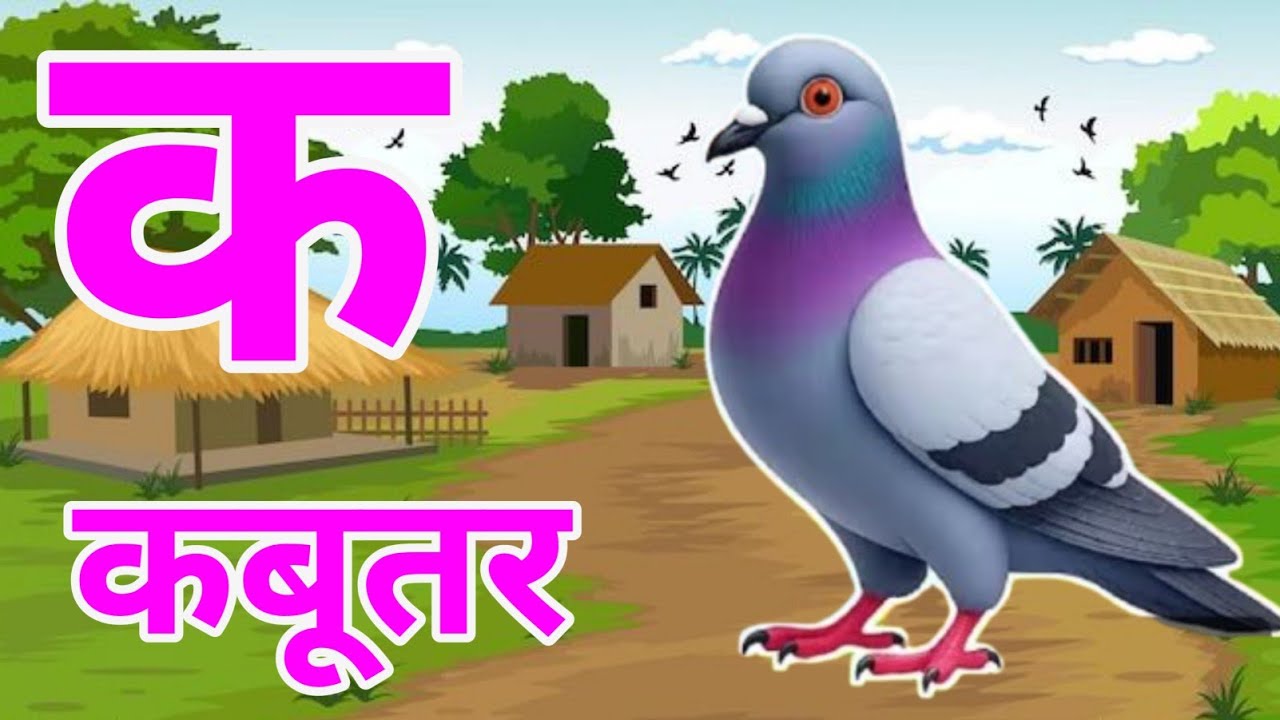 क से कबूतर, अ से अनार k se kabutar a se anar | हिन्दी वर्णमाला | क से कबूतर अ से अनार,for kids