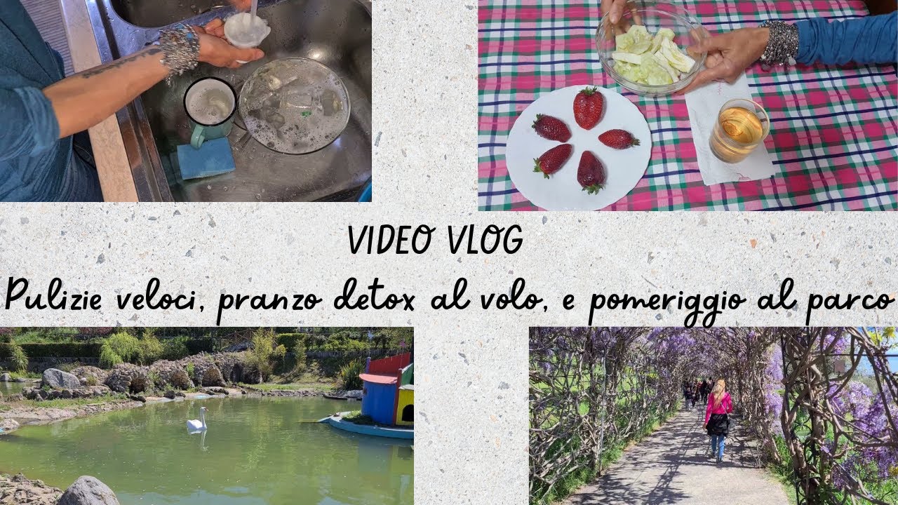 VIDEO VLOG pulizie veloci, pranzo detox al volo, pomeriggio al parco😍