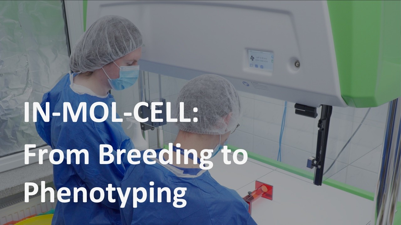 IN-MOL-CELL: From breeding to phenotyping: comprehensive support for your research excellence.