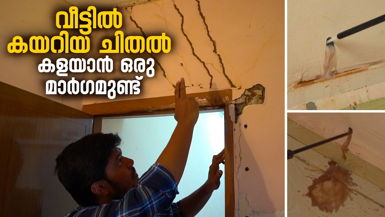 വീട്ടിൽ കയറിയ ചിതൽ കളയാൻ ഒരു മാർഗമുണ്ട് |Termite Pest Control Treatment | Anti Termite Piping System