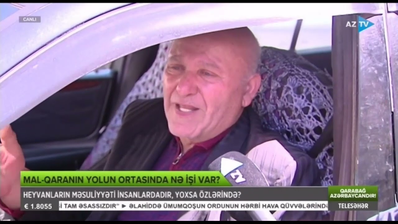 Yolun ortasında çıxan mal-qaranın məsuliyyətini kim daşıyır ? (18.04.2024)