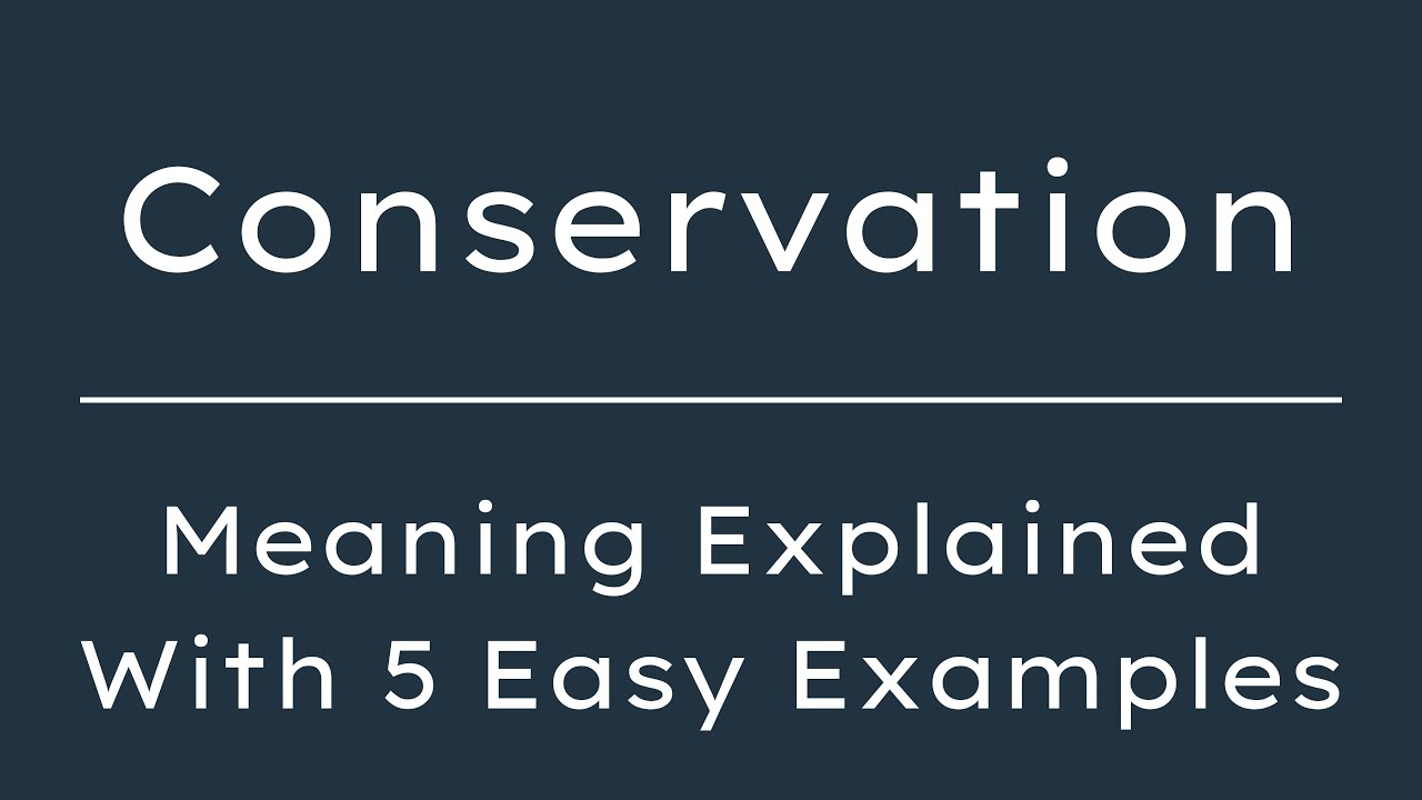What Does Conservation Mean? Conservation Meaning in English With 5 Example Sentences