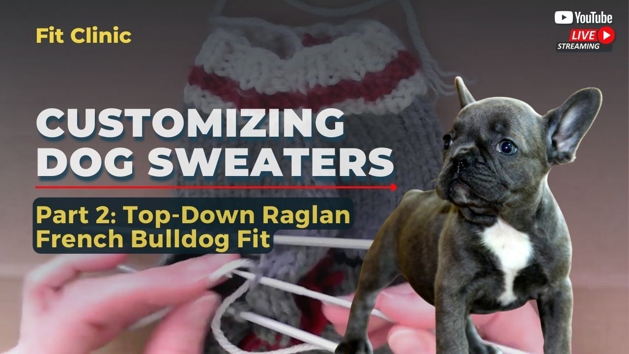 Customizing Knit Dog Sweaters to Fit Real Dogs – Part 2: Top-Down Raglan French Bulldog Fit