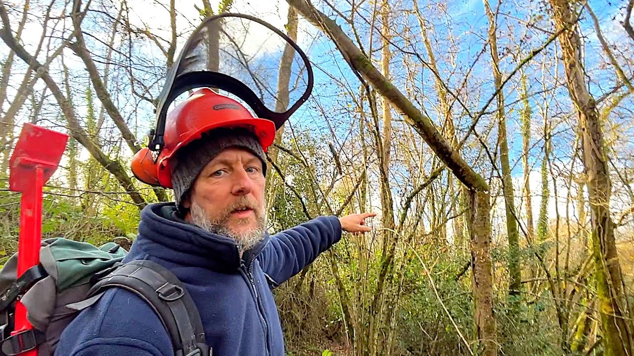 ⚠️ Danger!! 5 Trees Down in a Storm - Husqvarna 550xp Clean Up