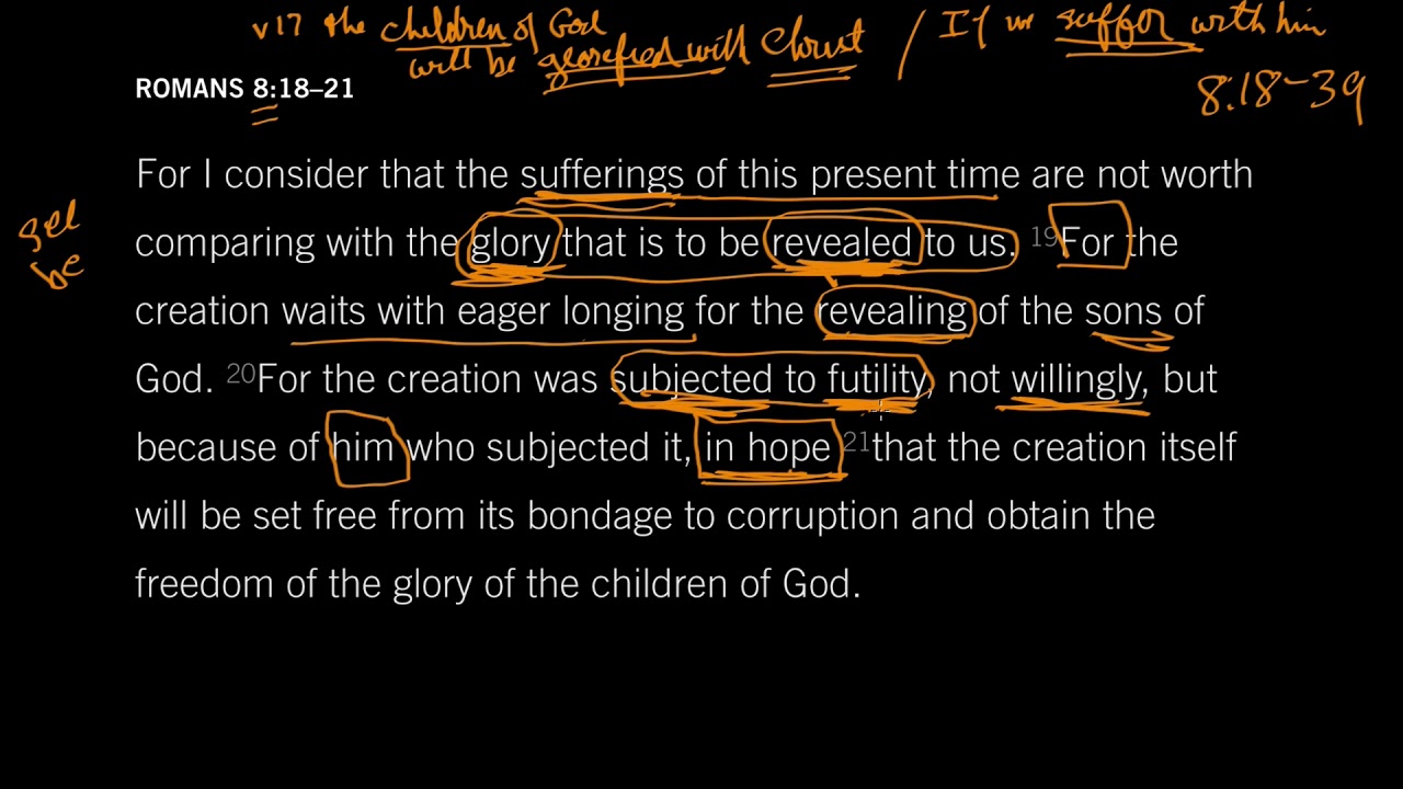 John Piper: Romans 8:18–21 - The Freedom of the Glory of the Children of God [Episode 18]