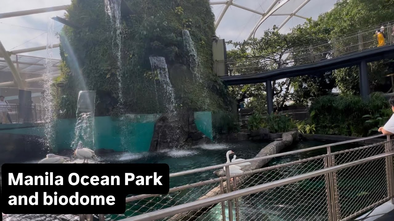 Manila ocean park | The Philippines