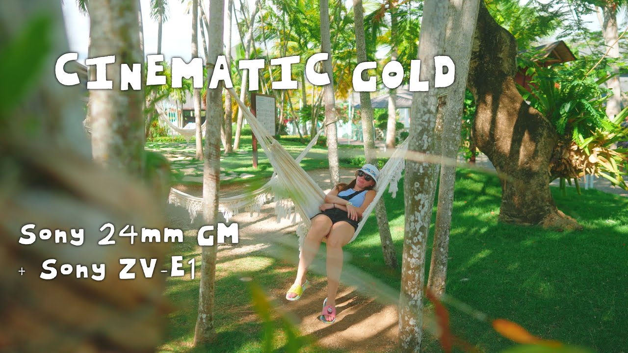 ZV-E1 Sony 24mm G Master Combo | Dominican Republic