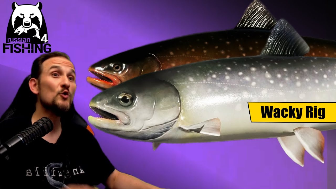 Russian Fishing 4 - Ladoga Archipel - Klotzsaibling auf Wacky Rig