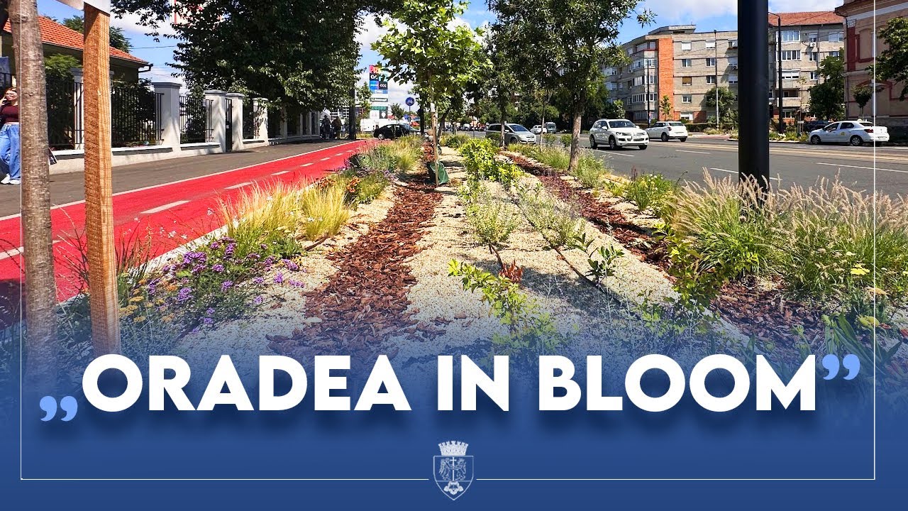 Oradea înflorește tot mai mult | Proiectul ,,Oradea in Bloom'' continuă!