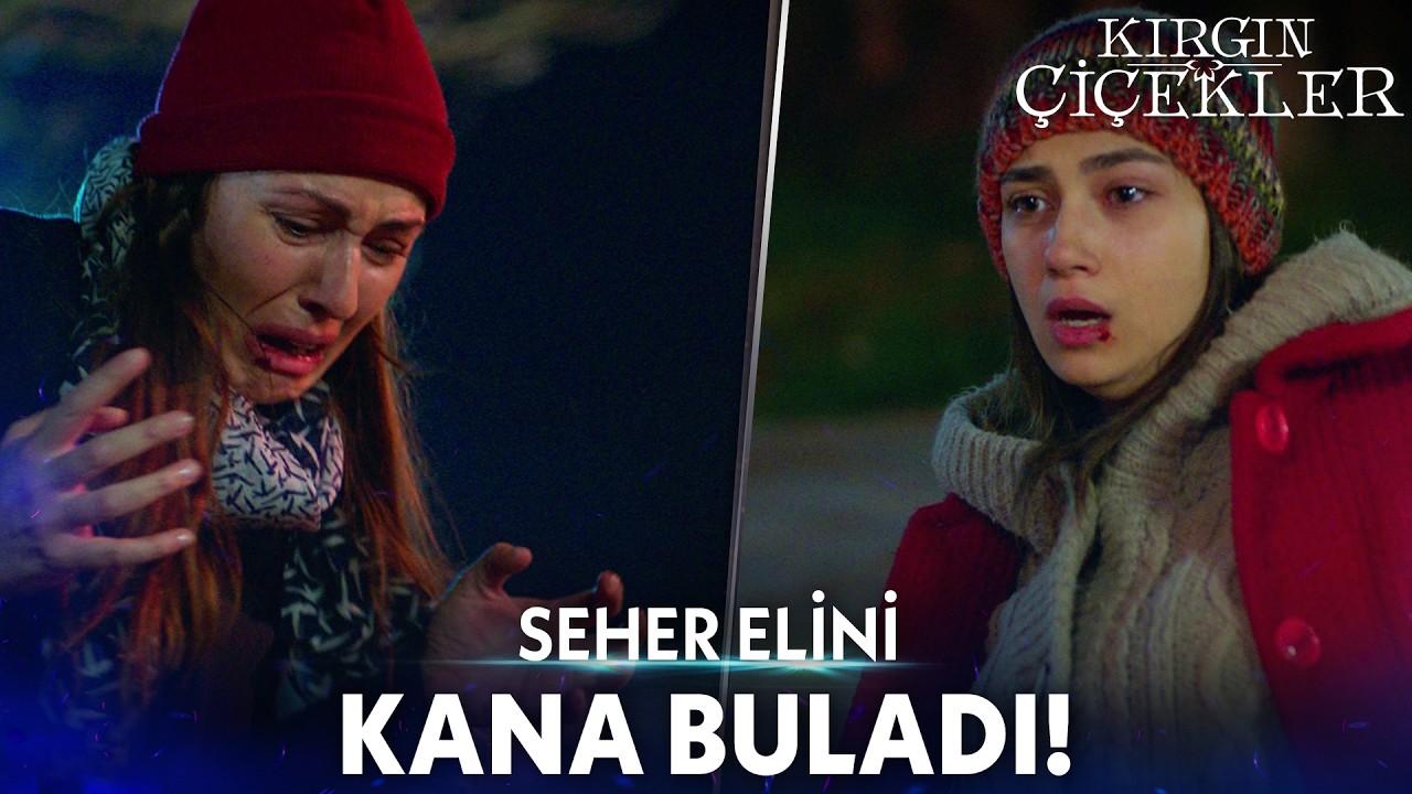 Pavyon Seher'in Peşini Bırakmıyor! - Kırgın Çiçekler Kolaj
