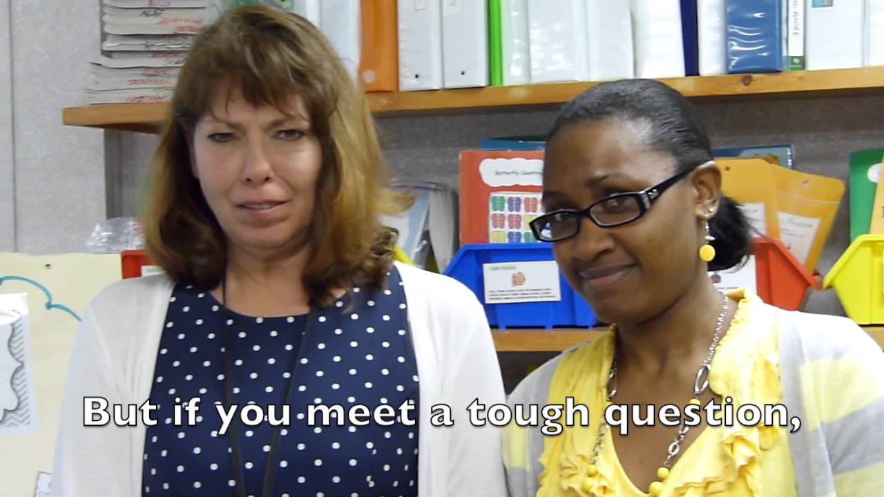 R.O. Nelson Elementary - What does the Test say