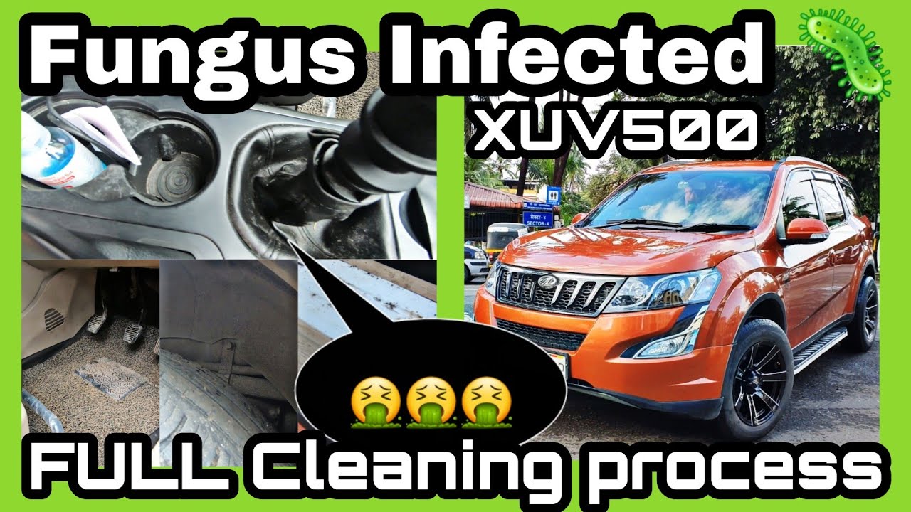 Deep Cleaning The FUNGUS INFECTED XUV500 CAR 🦠🤯🤮 | SHOCKING RESULTS 😑