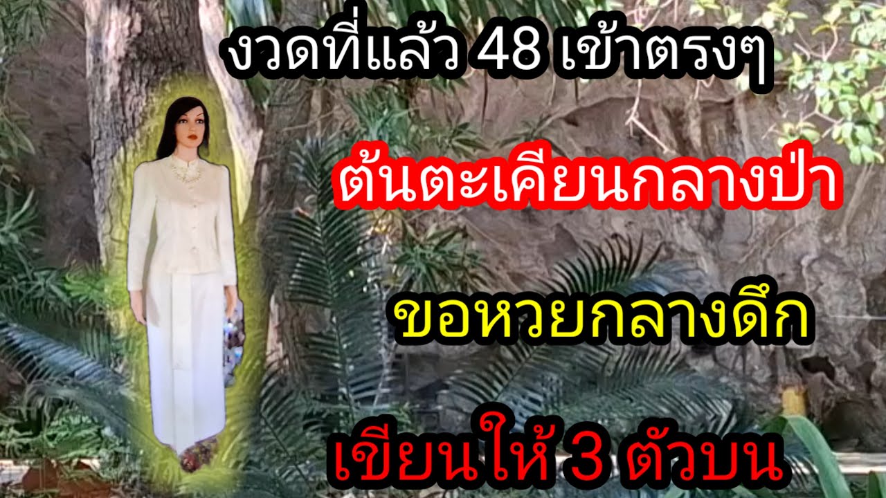 พ่อไสวพารวย.. channel กำลังถ่ายทอดสด! ขอหวยแม่ตะเคียนกลางดึก