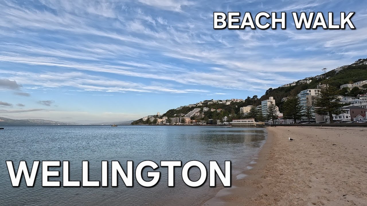 🩴 Golden Hour beach walk 💛 Wellington's Oriental Bay on a calm evening! #relaxing #beach #oceanwaves