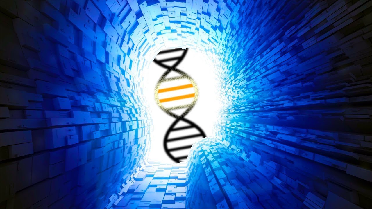 ¿Existe algo que nos haga una especie única?