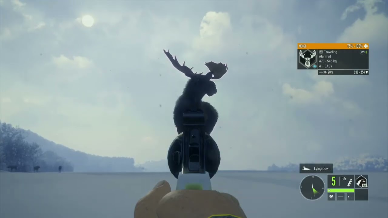 Dumb moose lol 
