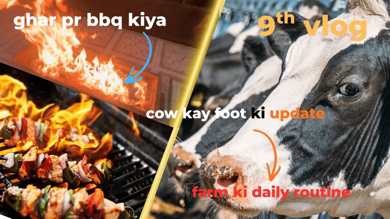 vlog 9 | farm say ajj choti ki | ghar bbq kiya | cow health update | daily routine