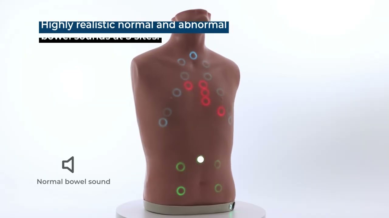 Nasco Healthcare Auscultation Trainer 2.0 &ndash; Realistic Cardiac, Respiratory & Bowel Sound Simulation