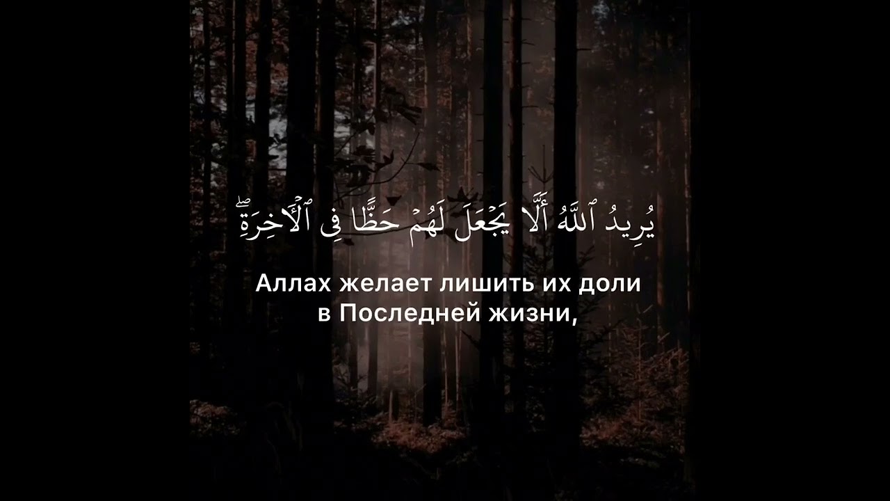 Makhdi ash-Shishaniy. 3 Али-Имран, аяты 176-177