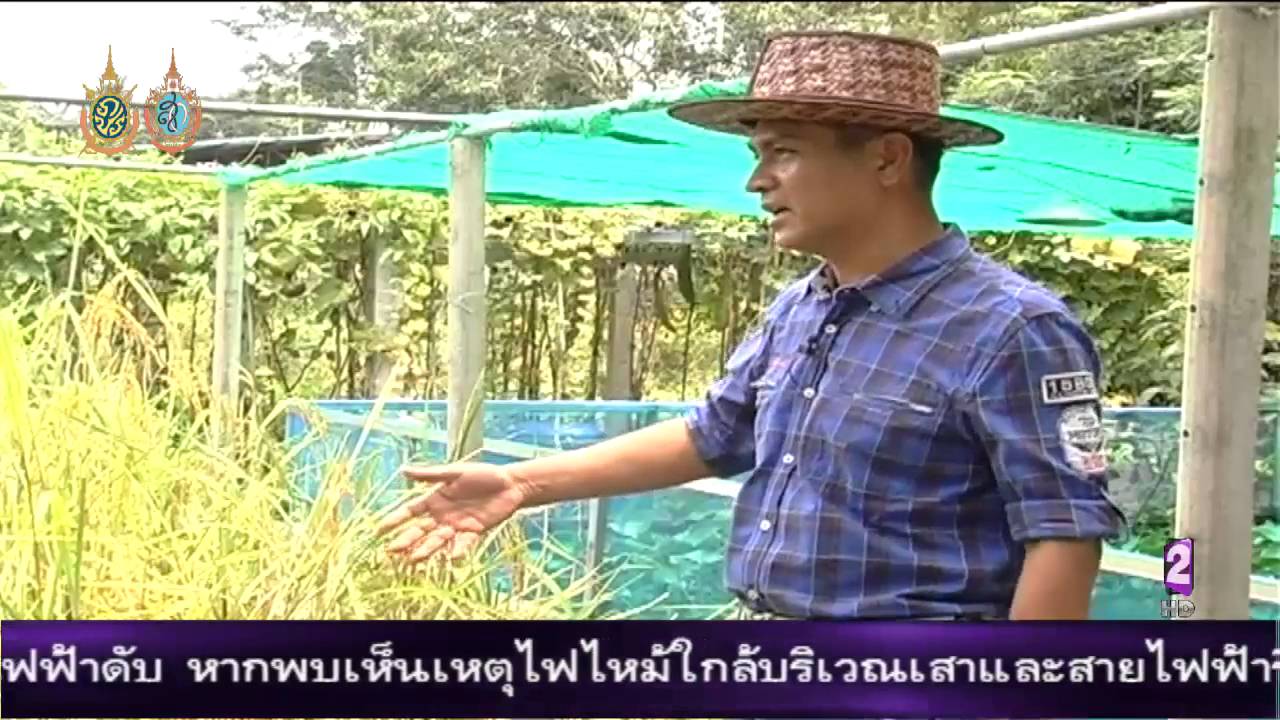 รายการรอบรู้ภูมิภาค : โรงเรียนเศรษฐกิจพอเพียง
