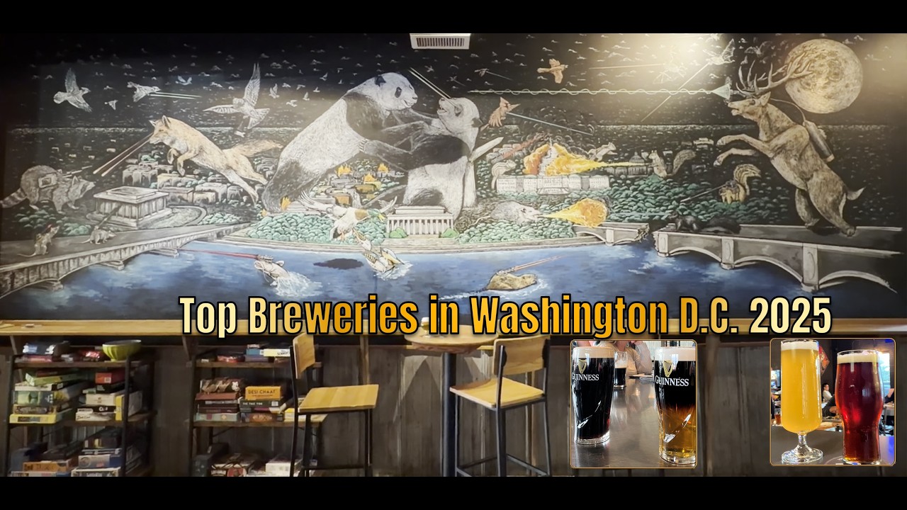 Top Breweries in Washington D.C. Area | Foam Voyage S1E10 — 2025 S-Tier (Season 1 Complete)