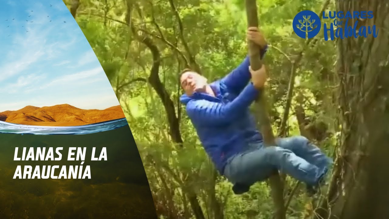 Lugares que Hablan, Región de la Araucanía, Canal 13.