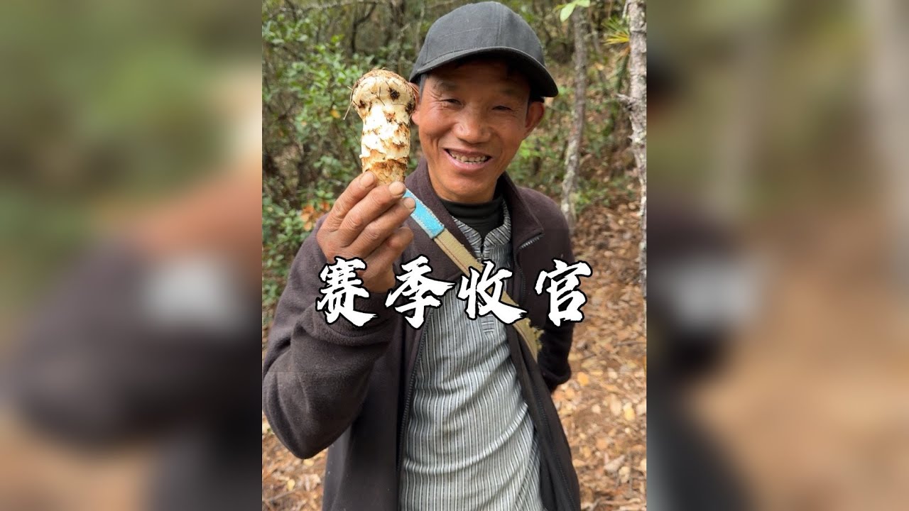 2025年松茸季收官之战