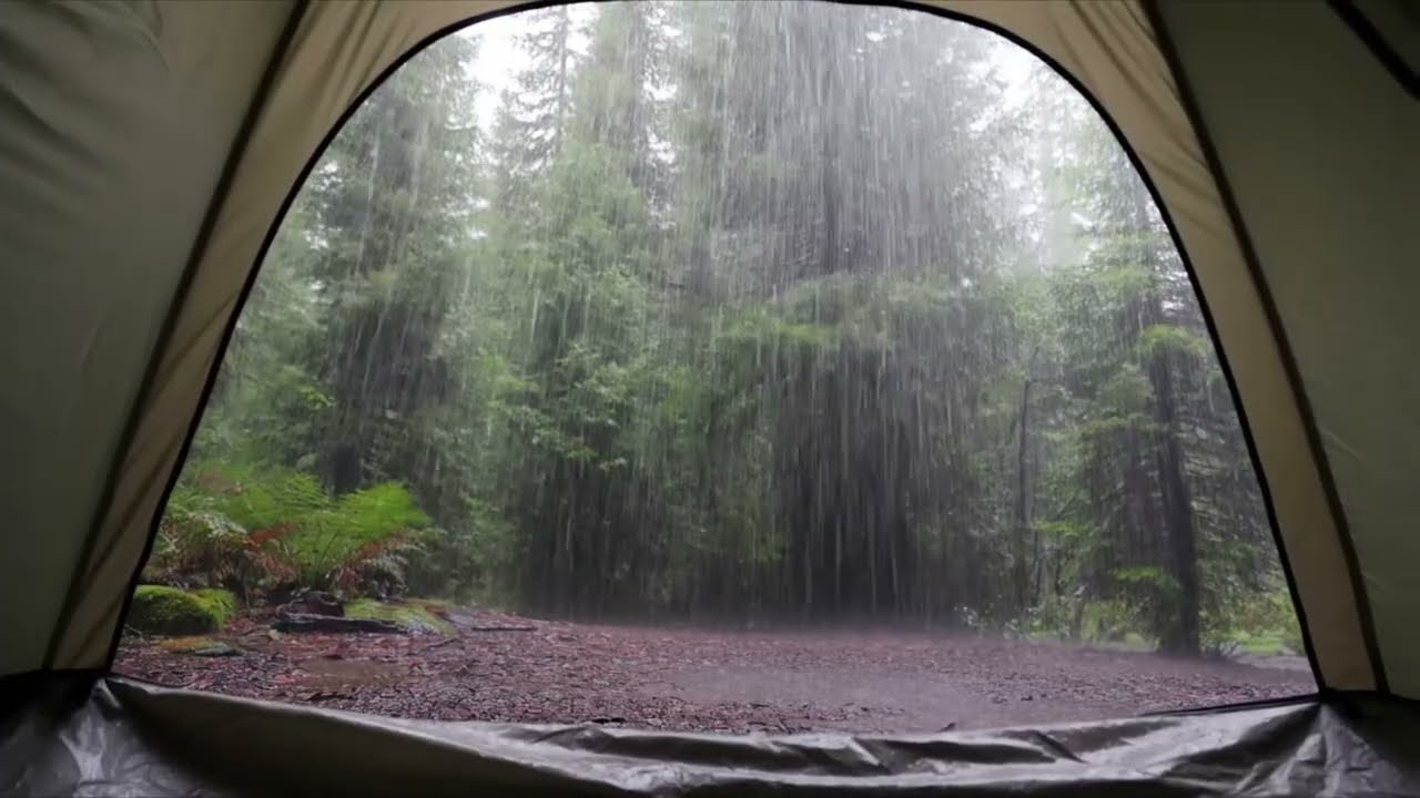 Trapped camping | Gentle Rain Falling on Tent | Soothing Forest Ambience