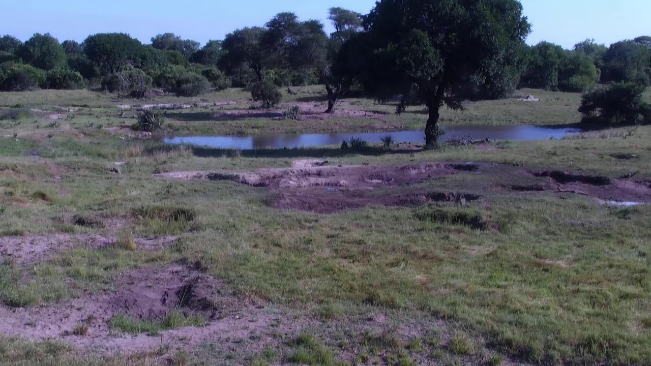 Tembe Elephant Park