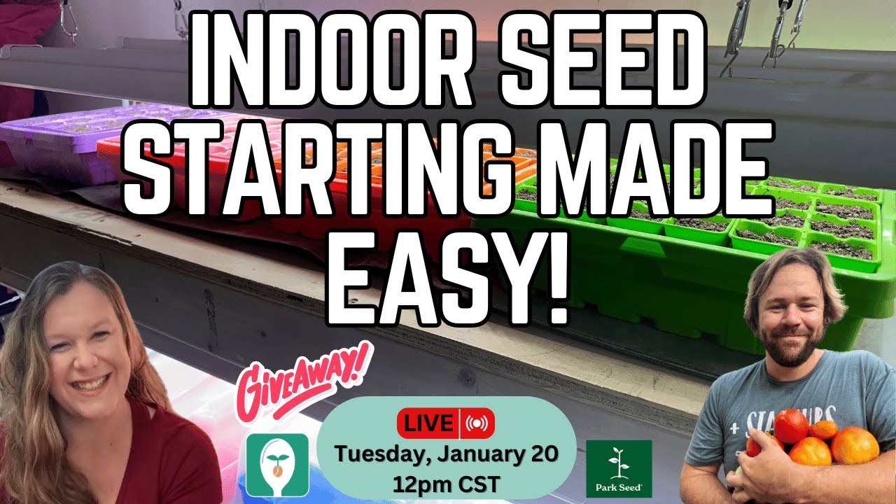 Indoor Seed Starting Made Easy: Everything You Need to Know from Start to Finish!