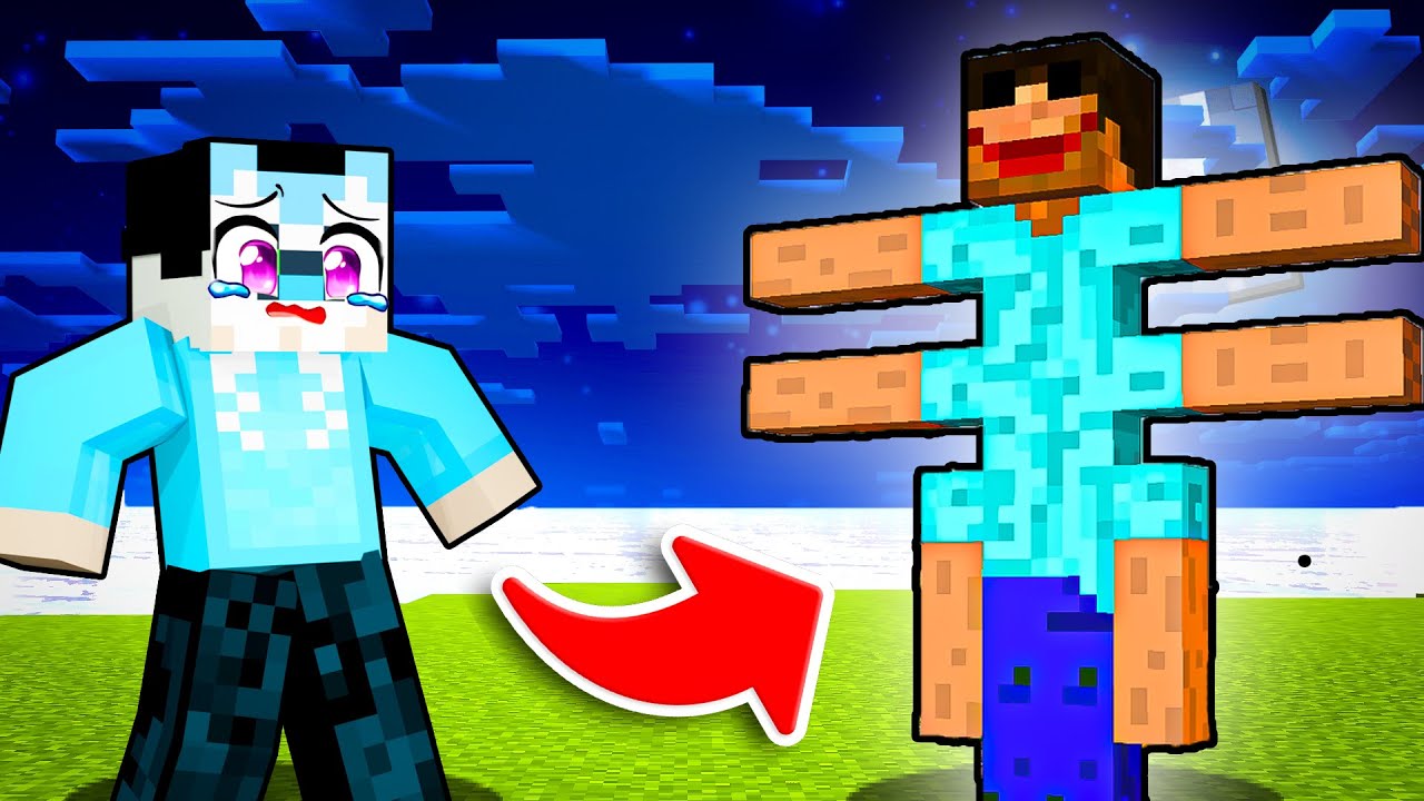 Dit Is GEEN NORMALE Minecraft STEVE...