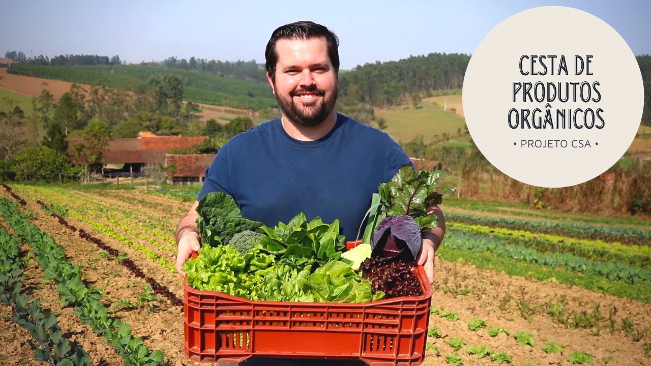 CSA | Assinatura de cestas orgânicas!