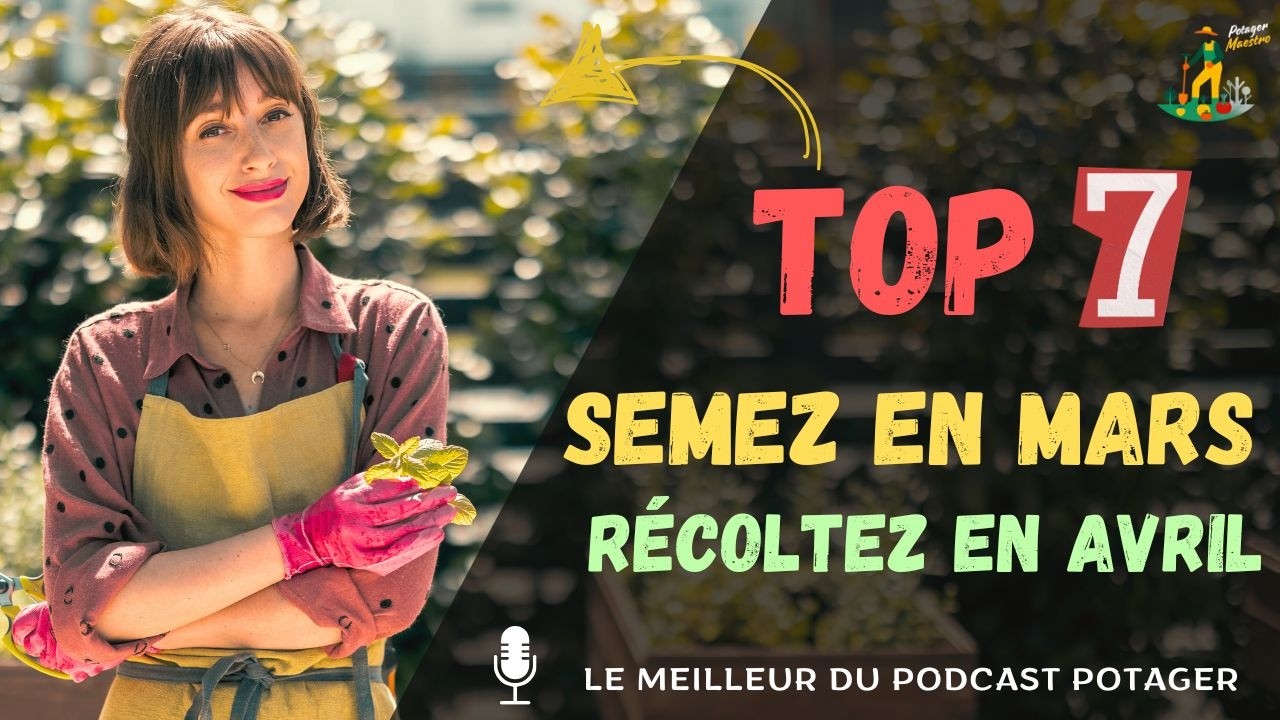 Les 7 légumes à semer en mars pour une récolte express 🌱