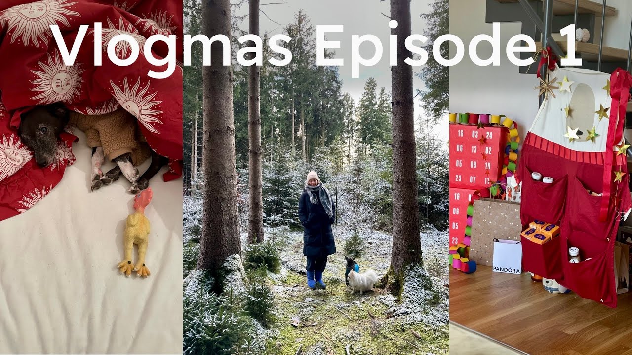 [🇩🇪]Vlogmas 2025 ☃️・mein erstes Video auf deutsch, Deko, neue Wohnung (Weihnachten in München)