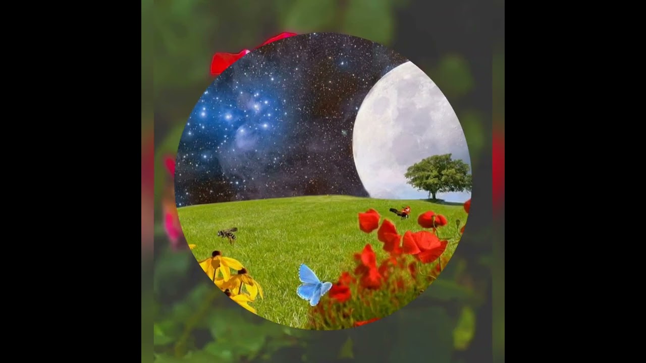 Paul Mauriat - Na Paz Do  Seu Sorriso 🎶🌹