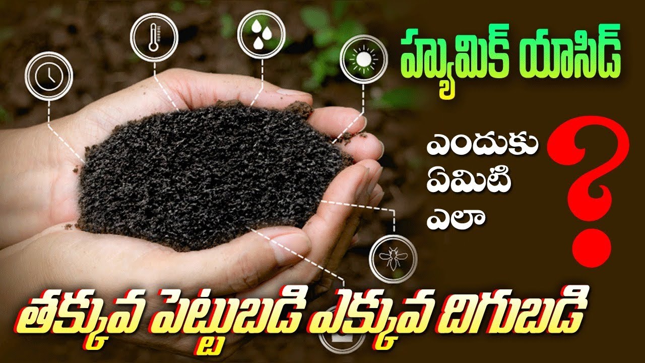 వ్యవసాయంలో హ్యూమిక్ యాసిడ్ ఉపయోగాలు?#humicacid #fulvicacid #Leonardite #seaweed #agriculture