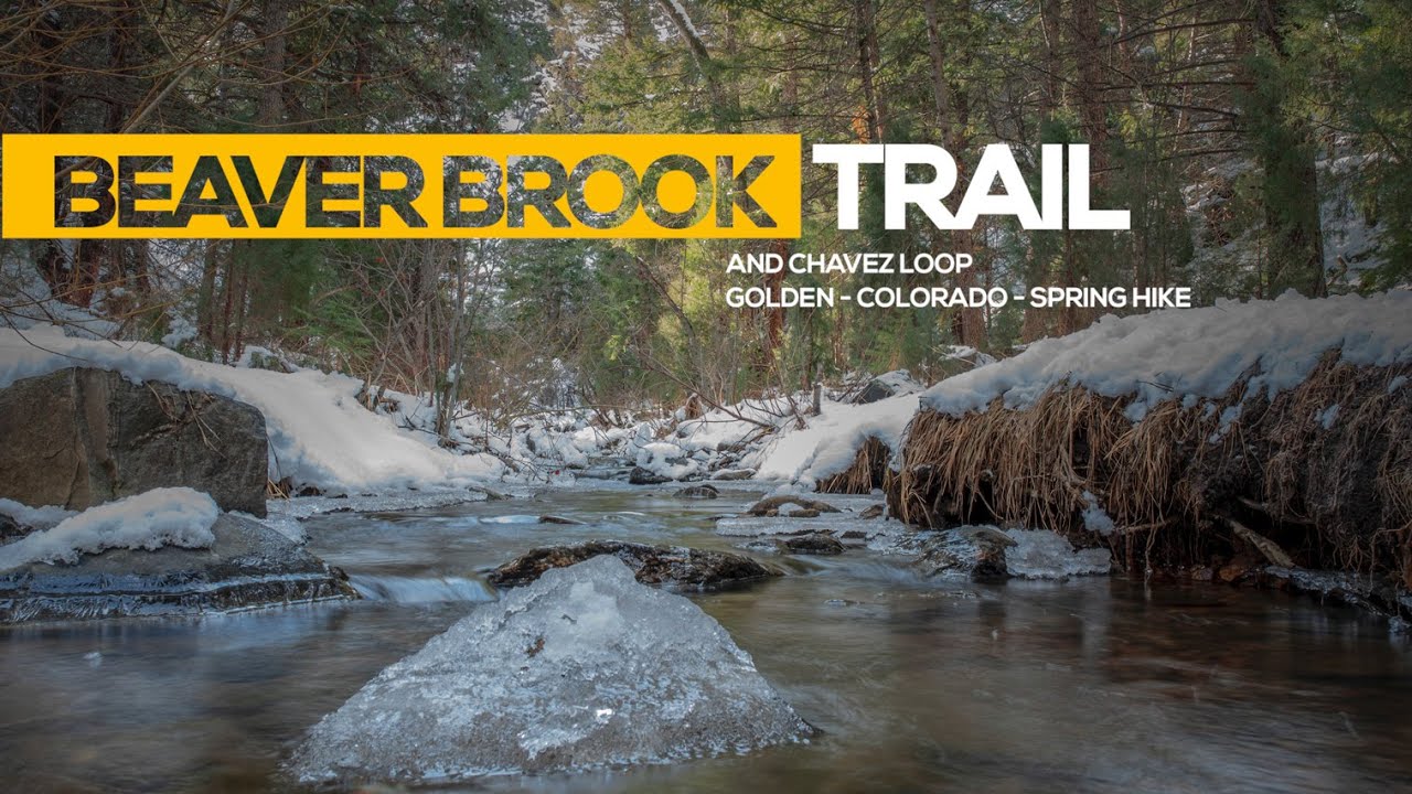 Beaver Brook and Chavez Trail Loop - Spring Hike near Denver Colorado