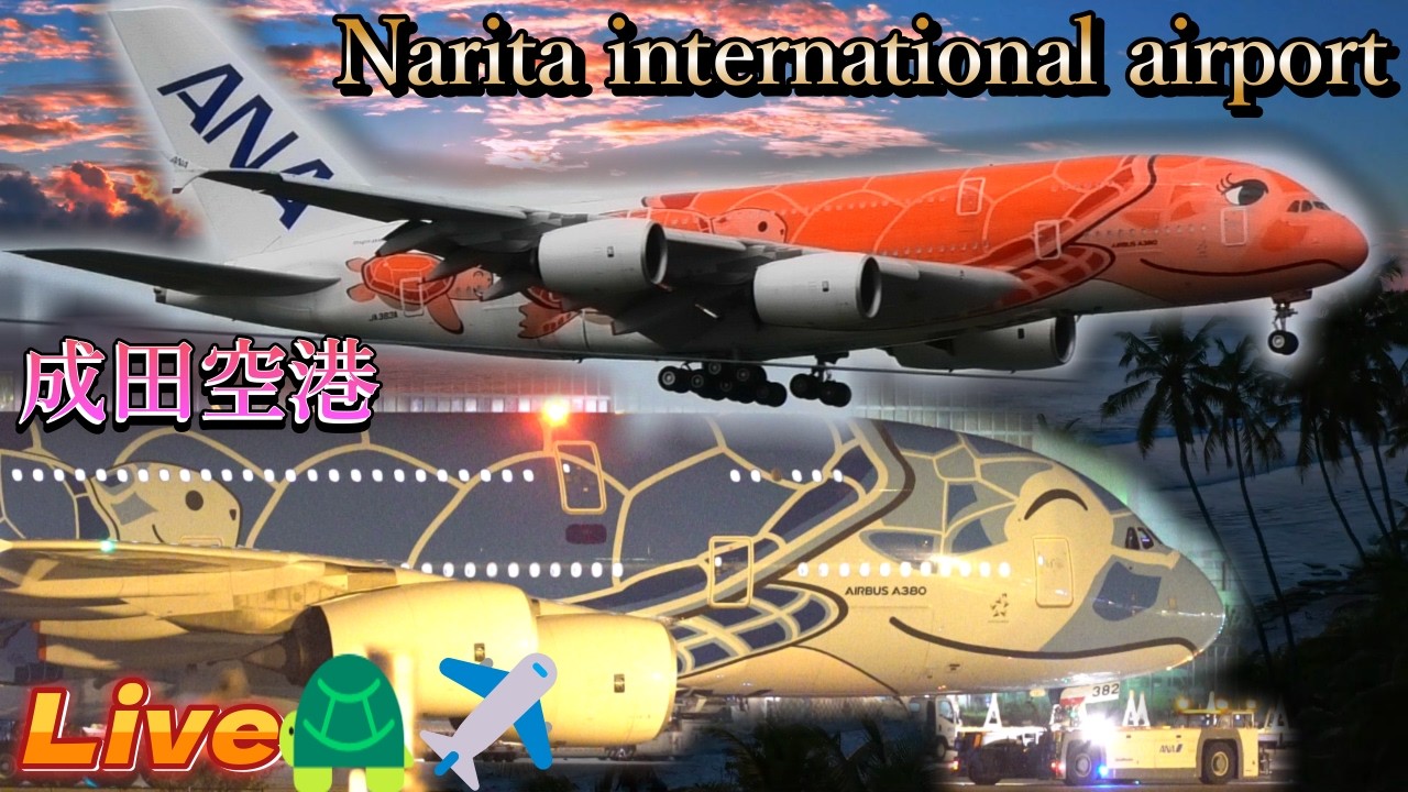 🐢✈️【2026/03/02❷】【成田空港📸Live🐢✈️Narita international✈️ airport Live📸】airplane spotting【成田空港✈️本生📸中継】