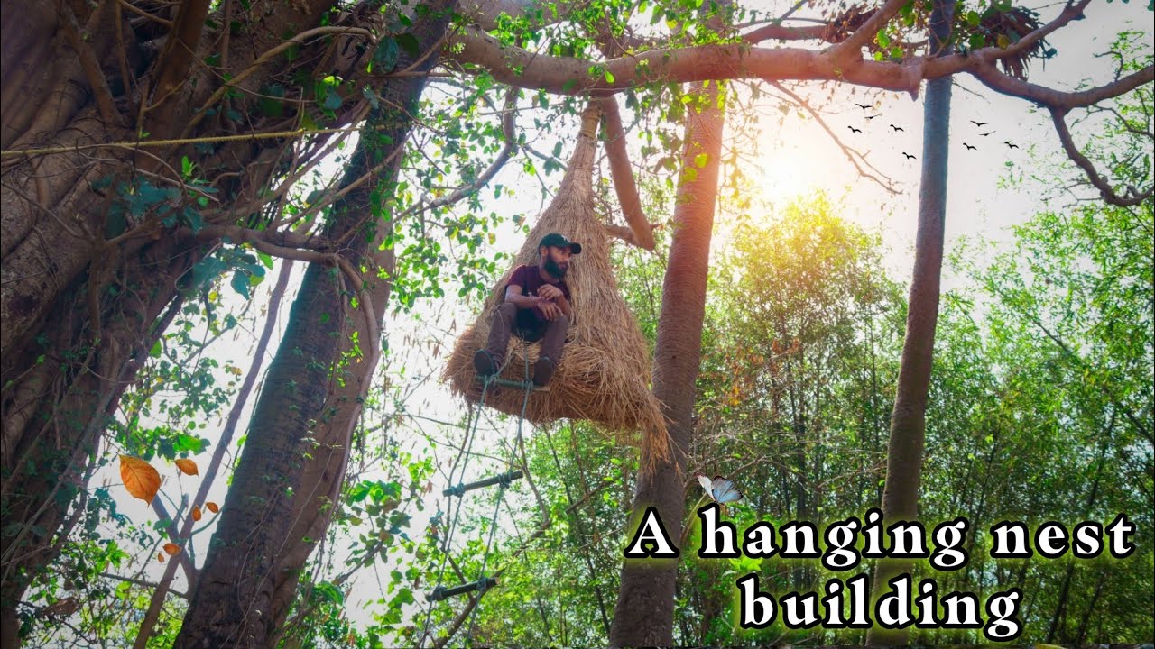 Yes ! It's real bird's nest building। CampingWildly। ThirstyAdventure।