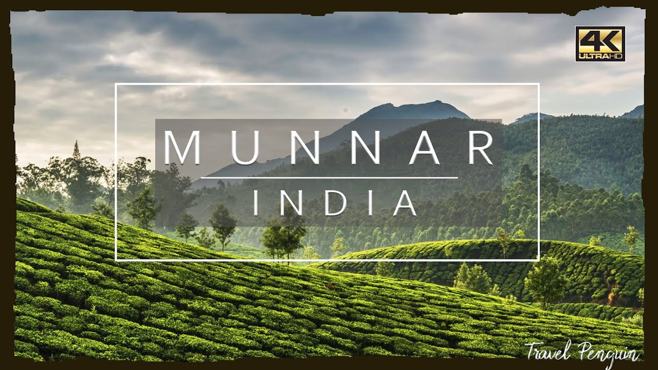 MUNNAR ● India 🇮🇳 【4K】 Aerial Cinematic Drone