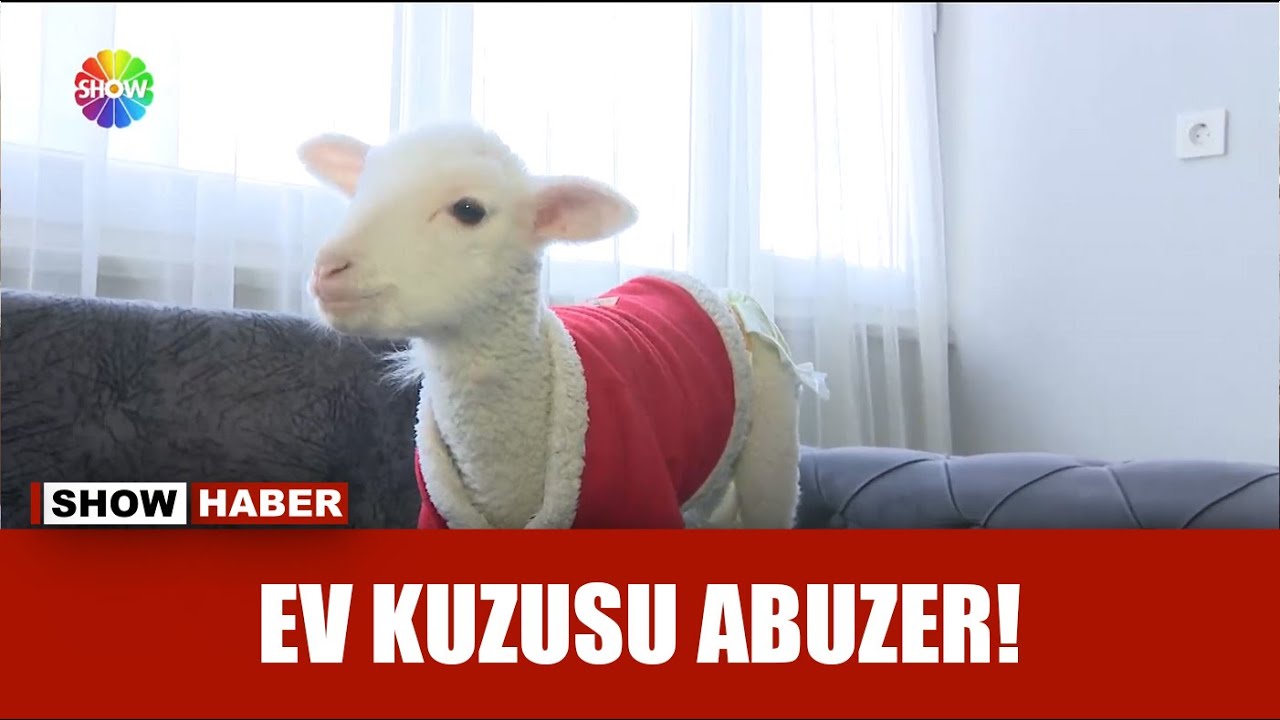 Kuzusuyla anne oğul gibi!