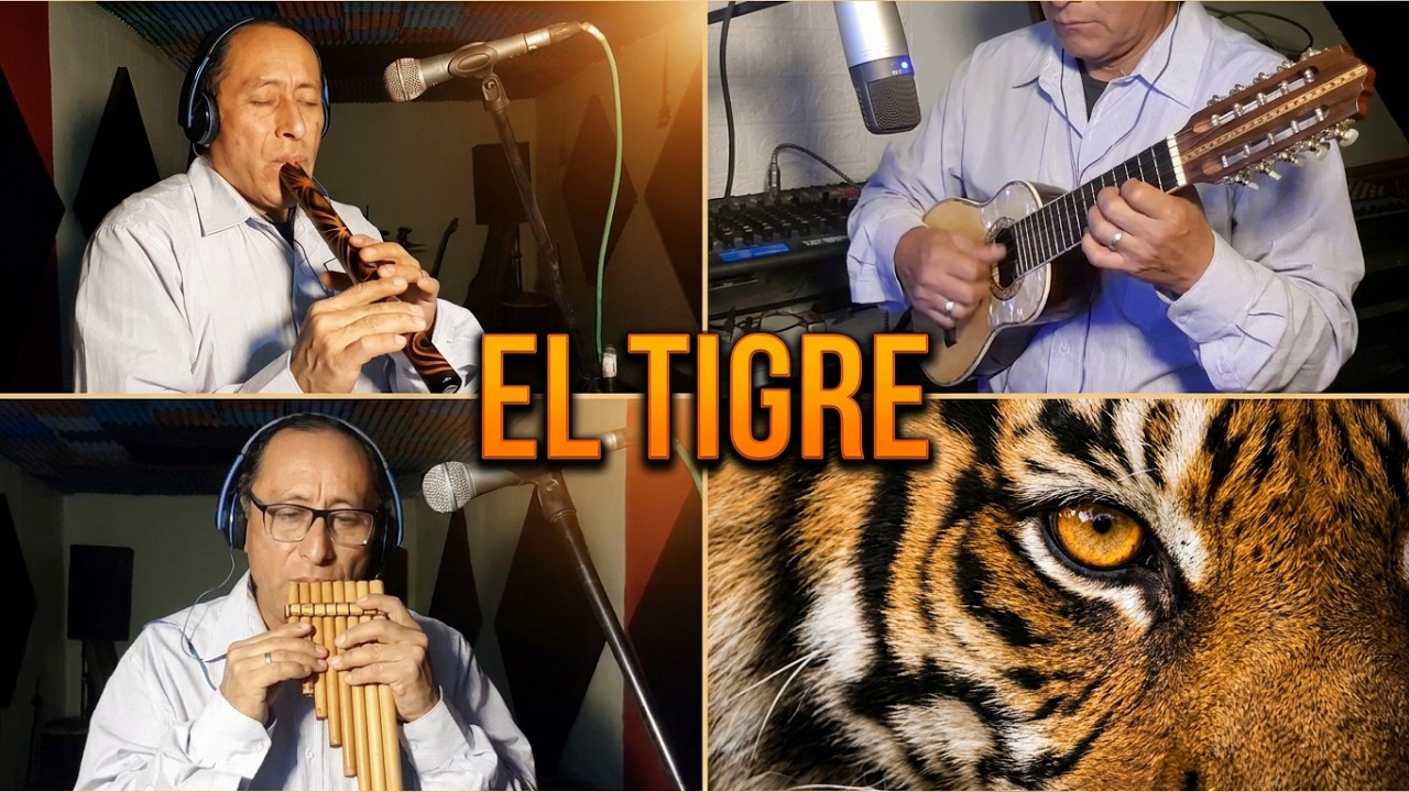 EL TIGRE SAN JUANITO | COVER ( Miki Andino)