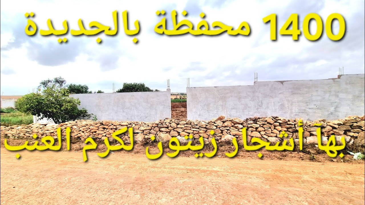 1400 متر محفظة بها أشجار الزيتون مجهزة بالماء والكهرباء قرب مدينة الجديدة ب 12 كم جماعة الحوزية